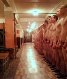 a quiet day in the barracks 5eb30625a5b85.jpg