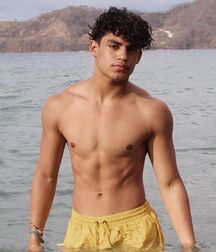 Boys nice shirtless twink tube spring break 61ed1f310dcda.jpeg