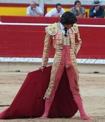 Sexy matador twink tube Spain 61f7e364debe6.jpeg