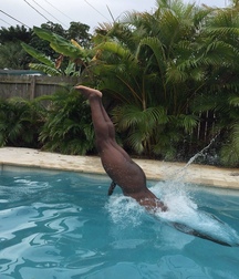 The boys dive naked twink tube 6237536a6f35a.jpeg