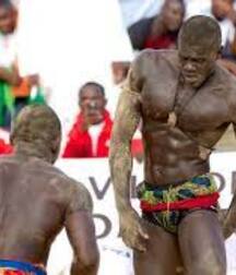 Senegalese wrestler guys gay porn 626271d579b33.jpeg