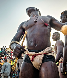 Senegalese wrestler guys gay porn 626271e45761e.png
