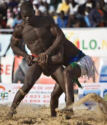 Senegalese wrestler guys gay porn 626271e689360.jpeg