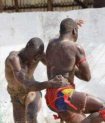 Senegalese wrestler guys gay porn 626271f041d04.jpeg