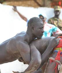 Senegalese wrestler guys gay porn 626271f83f56d.jpeg