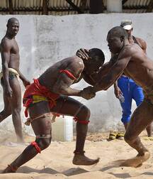 Senegalese wrestler guys gay porn 626271fc3f4b6.jpeg