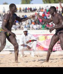 Senegalese wrestler guys gay porn 626272025354b.jpeg