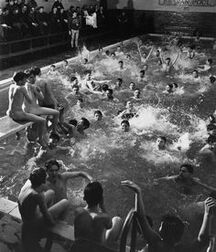 Vintage nude classic gay porn guys 628e4b4ea32f3.jpeg