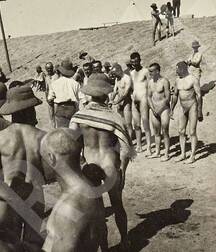 Vintage nude classic gay porn guys 628e4b54bc21e.jpeg