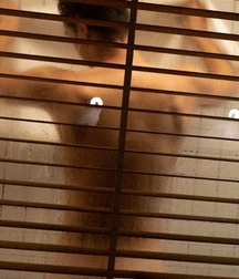 In shower glass twink tube tube 62e6d78a517f8.jpeg