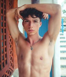 Sexy armpits guys flex twink tube stretch boys 62f67785204b1.jpeg