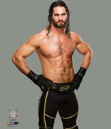 Seth Rollins - Architect of the Shield