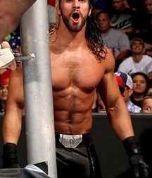 Seth Rollins - Architect of the Shield 57eaf804d11ea.jpg