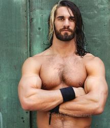 Seth Rollins - Architect of the Shield 57eaf838086cd.jpg
