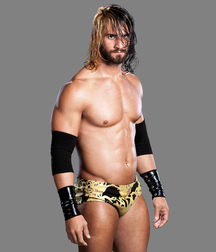 Seth Rollins - Architect of the Shield 57eaf8904fe6e.jpg