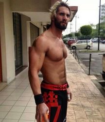 Seth Rollins - Architect of the Shield 57eaf9f25587e.jpg