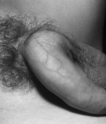 Yummy 570cb806e4447.jpg
