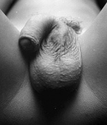 Yummy 570cb8266b30c.jpg
