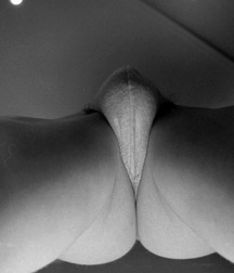 Yummy 570cb85b5f9f3.jpg
