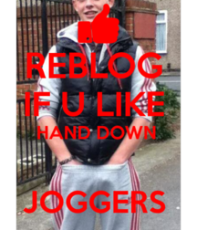 Chavs 58caa03ce6fde.png