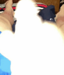 fav 23 58f955958e97a.gif