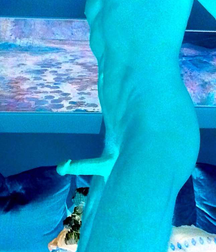 Fav 64 590be230e704b.png