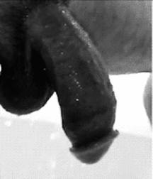 BIG 5898c6a436486.gif