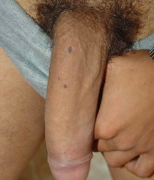 Frank+Javier 5938ff3e68ef0.jpg