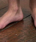 Tom 5985dd6e75935.jpg