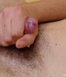 Bolek 5a0b364a730ec.jpg