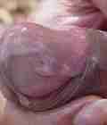 Xabier 5a6f8712259ce.jpg