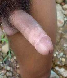 Carlito 5a7332399c894.jpg