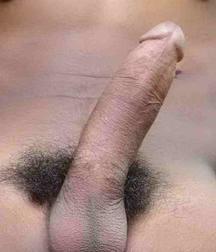 Carlito 5a73327089a90.jpg