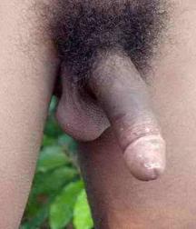 Carlito 5a73329fd0d51.jpg