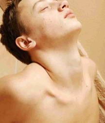 Jesse 5b6fd88225f24.jpg