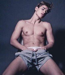 shirtless boys 5bae54751195b.jpg