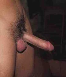 Erik 5bb07314109e2.jpg