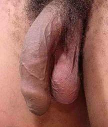 Tonio 5c07d9d2e6425.jpg