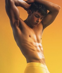 shirtless boys 5c2b22fa382c0.jpg