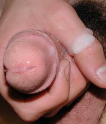 Brentz 5cd9825d88d6a.jpg