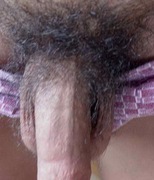 Nadir 5d298c2b9cc02.jpg