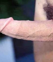 Alvaro 5d6beb420ac89.jpg