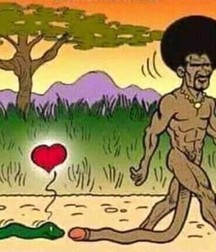 Cartoons 5dcef6a8c48ba.jpg