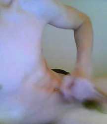 Freddie 59b2d4a8685e0.jpg