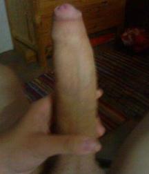 My lovely cocks II 588af7a362f15.jpg