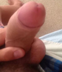 Dicks 5877d2e1230a7.png