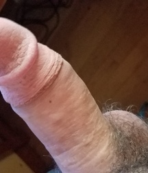 1st 58698cb723a35.jpg