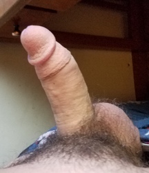1st 58698cb85e1de.jpg