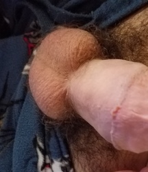 1st 58698cb9c4b57.jpg