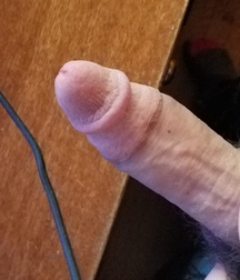 1st 58698cbc05673.jpg